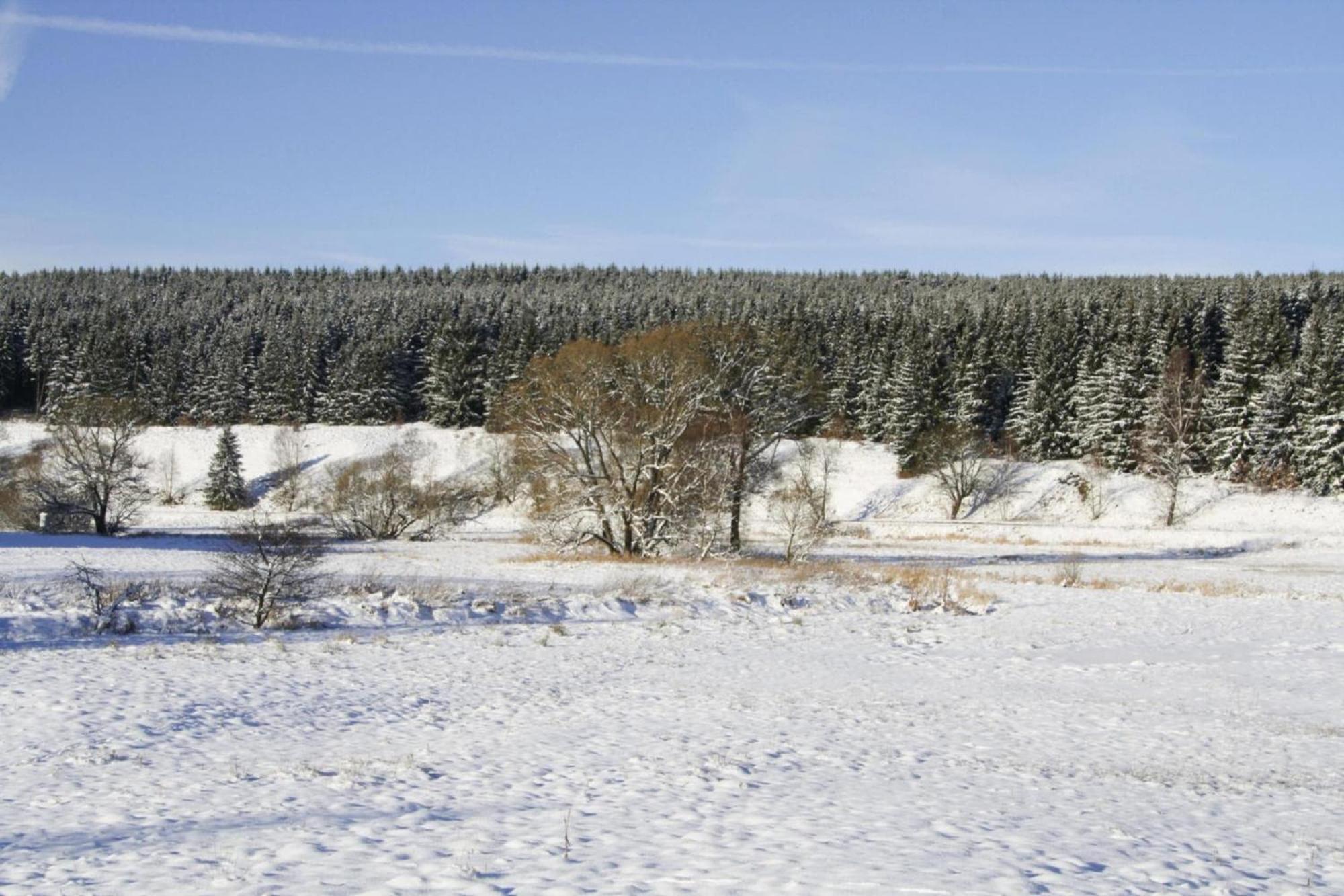 Apartment Braunlage Buitenkant foto